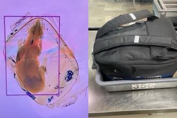 TSA finds dog in carry-on backpack through X-ray machine in Wisconsin airport