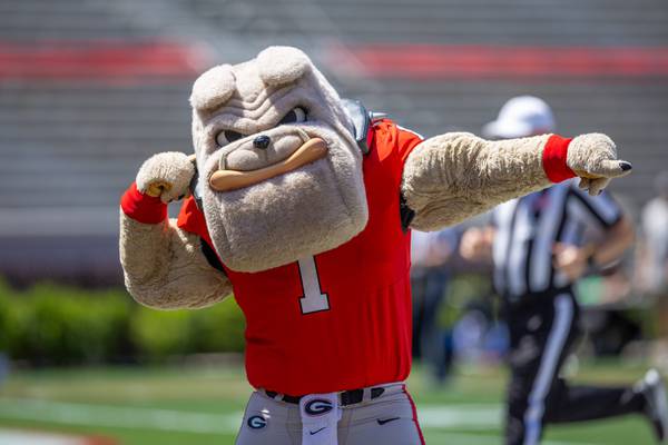 What we learned about each Georgia football position group this spring