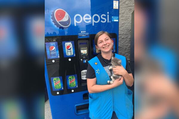 Kitten rescued from a Tennessee Walmart vending machine