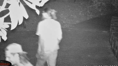 ACCPD searches for home vandalism suspects