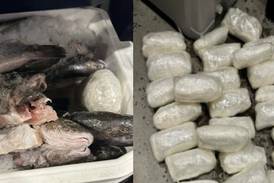 No fish tale: Customs officers find meth in ice chest filled with seafood
