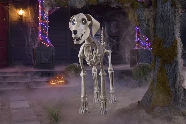 Skelly, Home Depot's 12-foot skeleton, gets a canine companion — and he's a very good boy