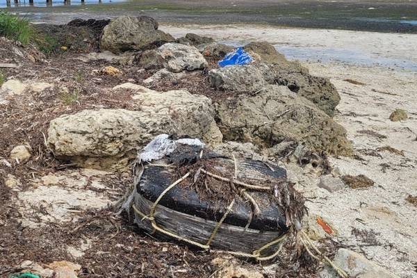 Beachgoer finds approximately $1M worth of cocaine in Florida Keys