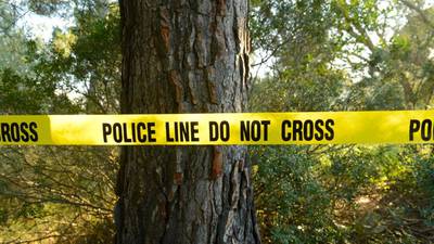 6 hospitalized after tree falls during class reunion in park