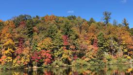 Leaf Watch 2023: Fall foliage peaking across north Georgia