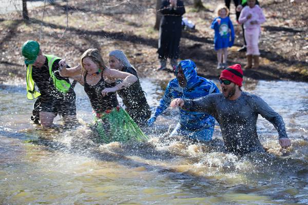 Swimmers and divers brace for cold in Saturday PlungeFest