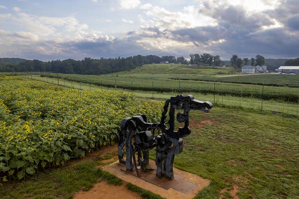 UGA: Iron Horse comes down for restoration