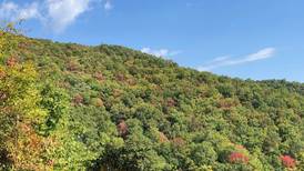 Autumn Leaf Watch: When will fall foliage peak?
