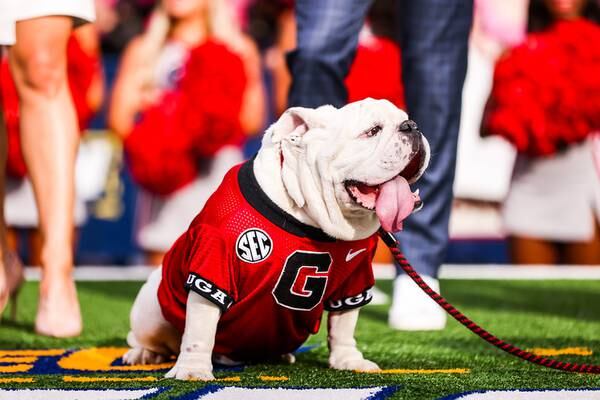 Urban Meyer: Georgia should be penalized for schedule; where Bulldogs’ slate ranks nationally