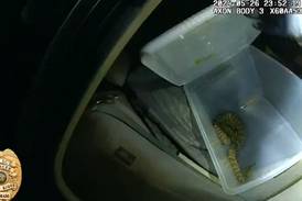 Rattled: Colorado officer finds live rattlesnake in car while searching for drugs