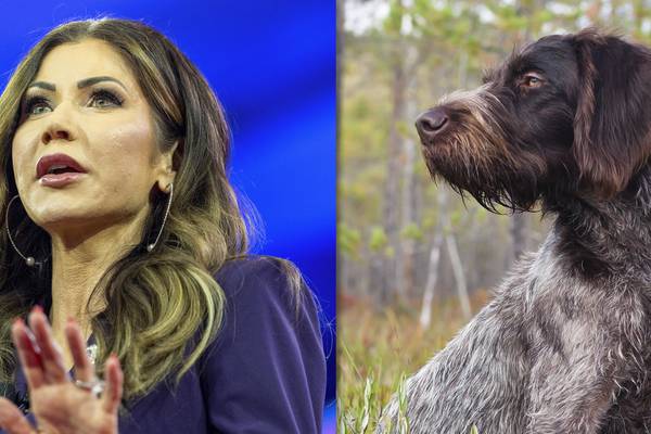 Was it legal for Kristi Noem to shoot her puppy — and what else could she have done?