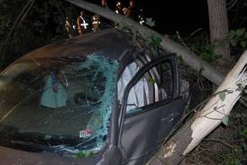 2 injured after driver runs off road, tree falls onto vehicle